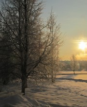 Dawn / ***