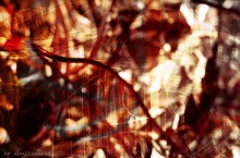 Gold neuralgia in the music box / merkaba`s music box