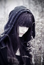 a wolf at the door. part II / ***