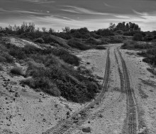 Promised land / ******