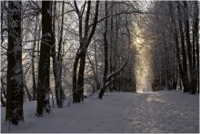 Winter (2) / *****