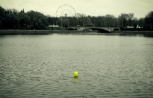 loneliness in a way / ________