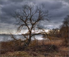 "At the end of the earth" / ***
