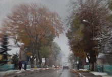 Gloomy day. / .......