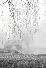 bridge in the fog .... / ///////