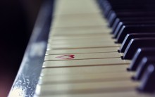 Melody / ***