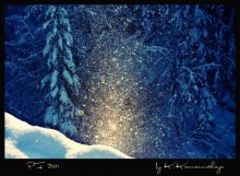 snow stars / snow stars