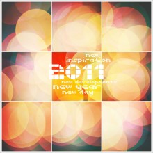 pf 2011 / bokeh