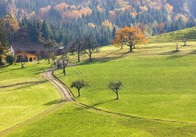 Farm / *****