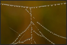 Hiero ... / ***