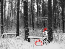 Weihnachtsmann / ***