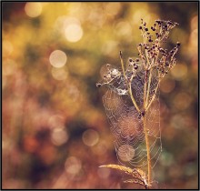 Absurd fantasy 8 / ***