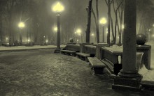 Misty morning / +++ +++