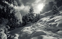 PF 2011 / &gt;&gt;Happy New Year