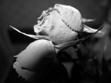 Melancholy / ***