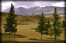Kurai Steppe / ***