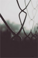 durch Verbote / ***