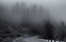 dort für den Nebel / ********