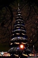 New Year\'s Eve / ***