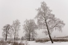 Eisig / ***