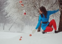 Apples in the Snow / ***