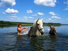 BATHING THE WHITE HORSE / ***