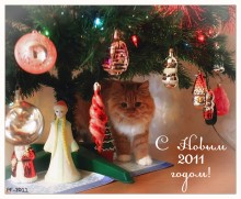 Frohes Neues Jahr! / ***