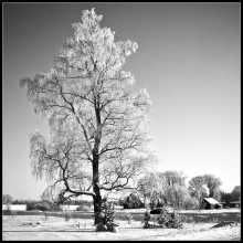 Winter ... / .....