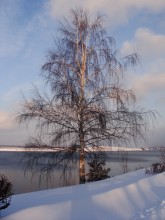 Good day. / ***