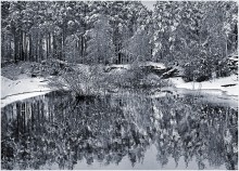 Winter Mosaic / ***