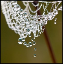 Chandelier Snow Queen ... / ***