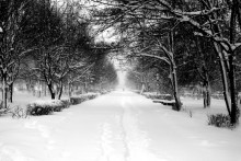 Winter Promenade / ***