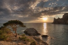 Sunset sunshine / ***