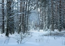 Winter ... / ******