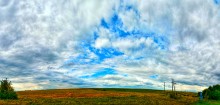 Field / ******