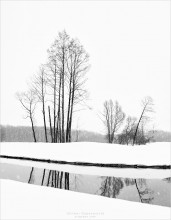 [Winter] / ***