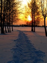 Orange sky ... / ***