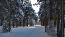 In Winter Park ... / .........