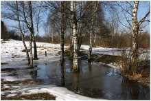 Thaw / ******