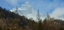Alps / .....