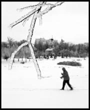 Skiers. / ***