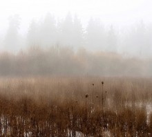 Träume ... auf der Suche nach Winter / *****