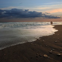 Idyll / ***