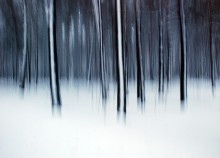 cross-country skiing ... / -----