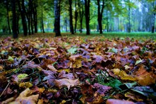 Autumn mood / *******