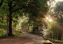Summer Morning / ***