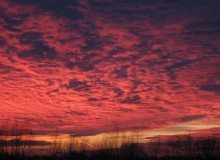 Sunset / ***