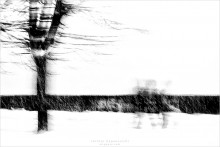 [ Z i M A ] / ***