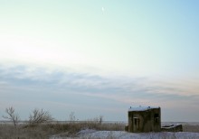 Dawn of the post / ***