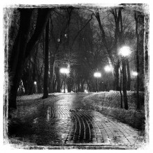 Night park ... Vol.2 / ........................